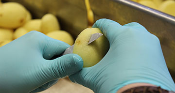 Hygiene & Sorgfalt beim Schälen der Bio-Kartoffeln sind für uns selbstverständlich