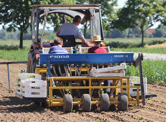 Landwirtschaftliche Arbeit an der frischen Luft