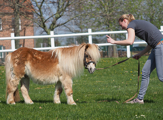 Die liebevolle Versorgung aller Hoftiere