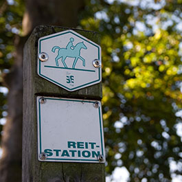 Der Hof Lohmann ist gepr&uuml;fte Reitstation im Kreis Warendorf 