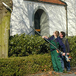 Im Einsatz mit Teleskop-Astscheren