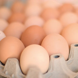Bio-Eier aus Freilandhaltung - besser für Mensch, Tier & Natur