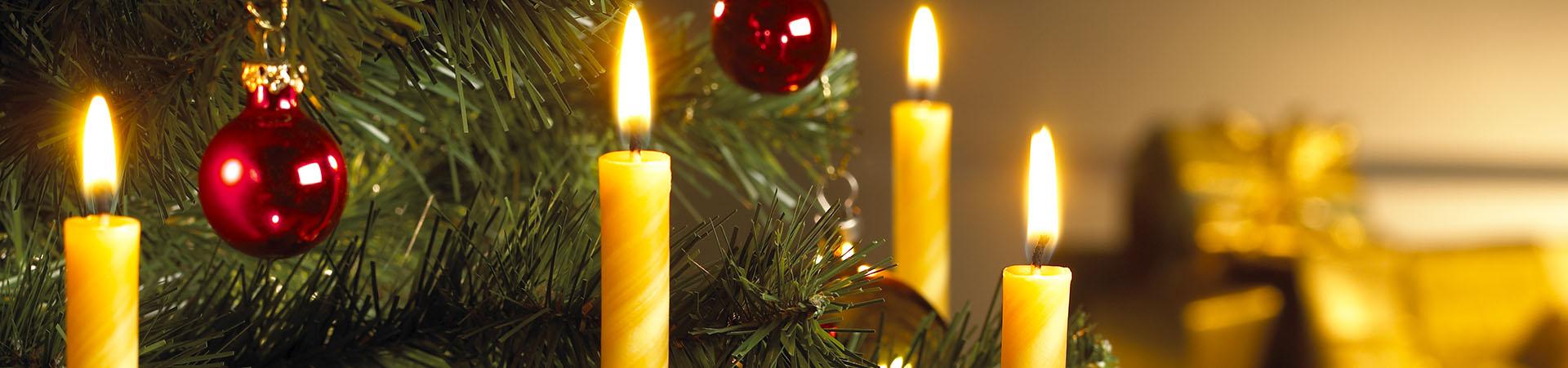 Christbaumkerzen schaffen Gemütlichkeit